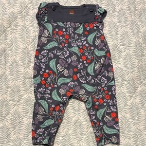 Tea Collection Navy Floral Overalls